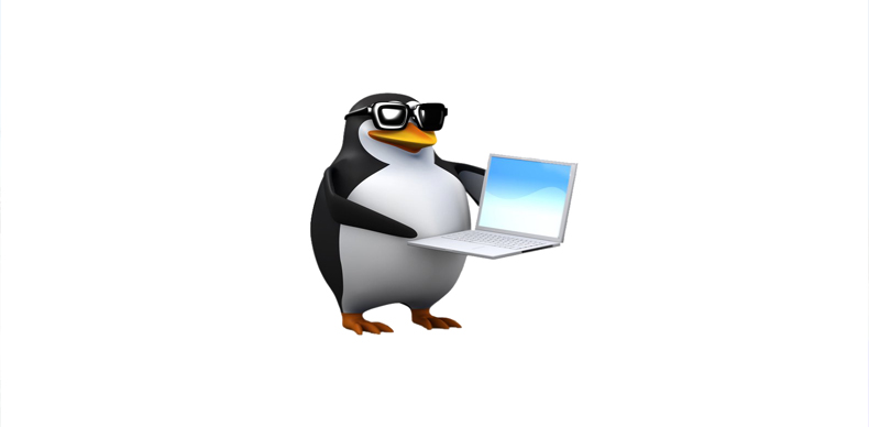 اعلامیه‌های الگوریتم پنگوئن نسخه 4.0